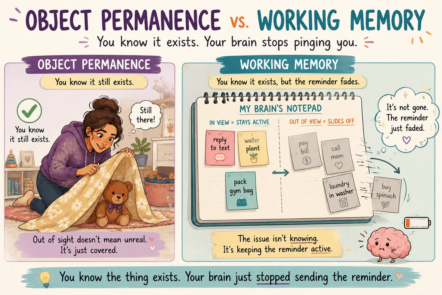 Comparison showing object permanence as knowing something still exists and working memory as losing the active reminder when something is out of sight.